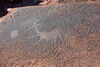 Namibie - Twyfelfontein - Gravures rupestres