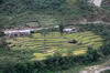 Népal - Trajet Bhulbhule-Jagat - Rizières en terrasses
