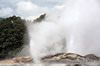 La Nouvelle-Zlande du Nord au Sud - Rotorua - Le geyser Pohutu