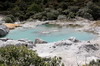 La Nouvelle-Zlande du Nord au Sud - Rotorua - Bassin bleu