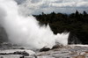 La Nouvelle-Zlande du Nord au Sud - Rotorua - Le geyser Pohutu