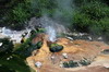 La Nouvelle-Zlande du Nord au Sud - Waimangu - Mini geyser