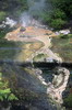 La Nouvelle-Zlande du Nord au Sud - Waimangu - Mini geyser