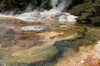 La Nouvelle-Zlande du Nord au Sud - Waimangu - Warbrick Terrace