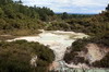 La Nouvelle-Zlande du Nord au Sud - Wai O Tapu - Frying Pan Flat (la pole  frire)