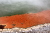 La Nouvelle-Zlande du Nord au Sud - Wai O Tapu - Bord de Champagne Pool