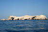 Prou - Iles Ballestas - Ile recouverte de guano