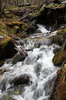 Argentine, Chili - Ushuaia - Petit torrent