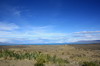 Argentine, Chili - Route El Calafate - El Chalten - La steppe devant le Lago Argentino