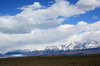 Argentine, Chili - El Chalten - Le glacier Viedma et le dbut de la chane du Fitz Roy