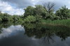 Roumanie - Delta du Danube - Canal