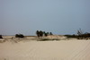 Le Sénégal des savanes au Siné-Saloum - Lac Rose - Les dunes