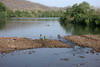 Le Sngal des savanes au Sin-Saloum - Le fleuve Gambie - Lavandires