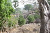 Le Sénégal des savanes au Siné-Saloum - Iwol - Village de l'éthnie Bédik