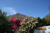 Sicile - Stromboli - Bougainvillier et hibiscus devant le volcan