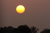 Sri Lanka - Embilipitiya - Lever de soleil