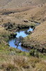 Sri Lanka - Horton Plains - Rivire