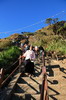 Sri Lanka - Adam's Peak - Descente des marches