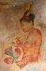 Sri Lanka - Sigiriya - Fresque murale